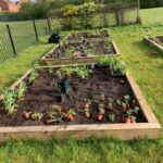 Crosby Primary Science Garden