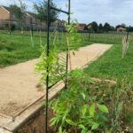 Crosby Primary Science Garden