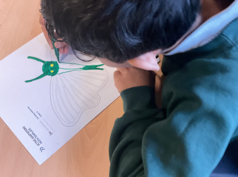 3_4 children designed different moths for various habitats around school to help survival