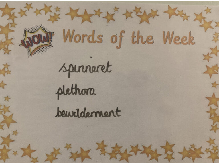 Wow Words in Y6