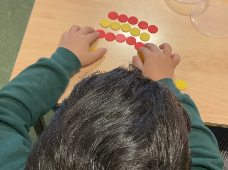 Year 3- Making arrays