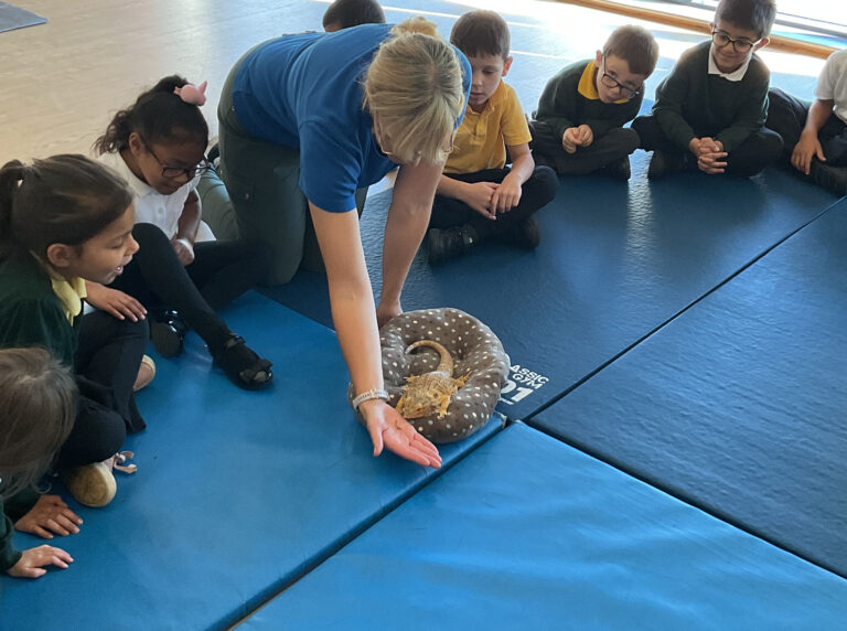 Year 1 and 2 had some visitors to help us learn about living things